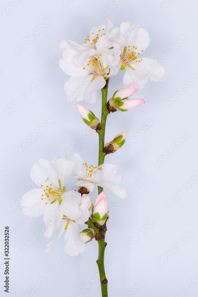 image to crop