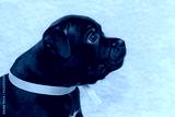 preview cold