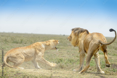 image to crop