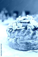 preview cold