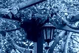 preview cold