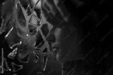 preview bw