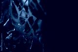 preview cold