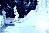 preview cold
