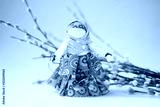 preview cold