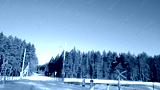 preview cold