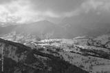 preview bw