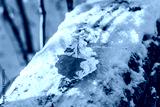 preview cold