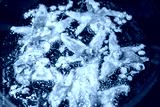 preview cold