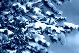 preview cold