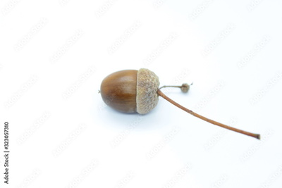 image to crop