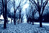 preview cold