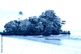preview cold