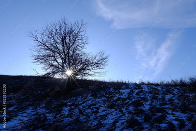 image to crop