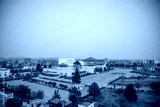 preview cold
