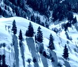 preview cold