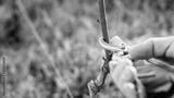 preview bw