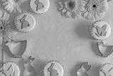 preview bw