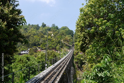 image to crop