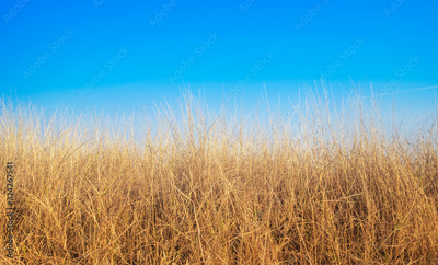 image to crop