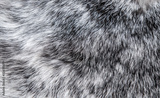 preview original