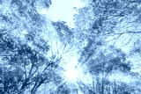 preview cold