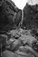 preview bw