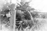 preview bw