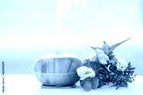 preview cold