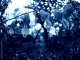 preview cold
