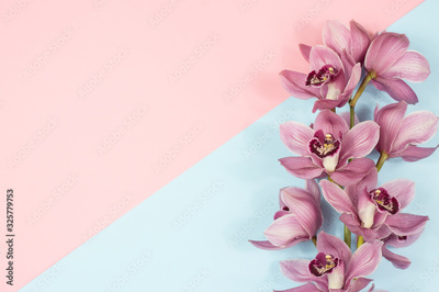 image to crop