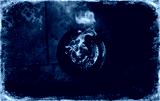 preview cold