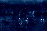 preview cold