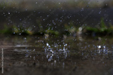 preview original