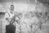 preview bw