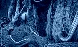 preview cold