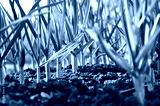 preview cold