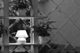 preview bw