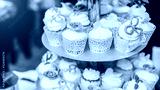 preview cold