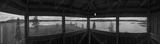 preview bw