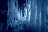 preview cold