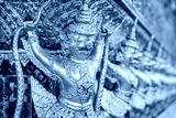 preview cold