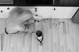 preview bw