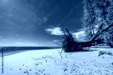 preview cold