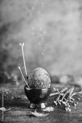preview bw