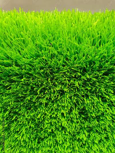 image to crop