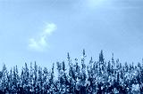 preview cold