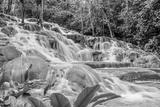 preview bw