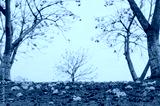 preview cold