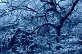 preview cold